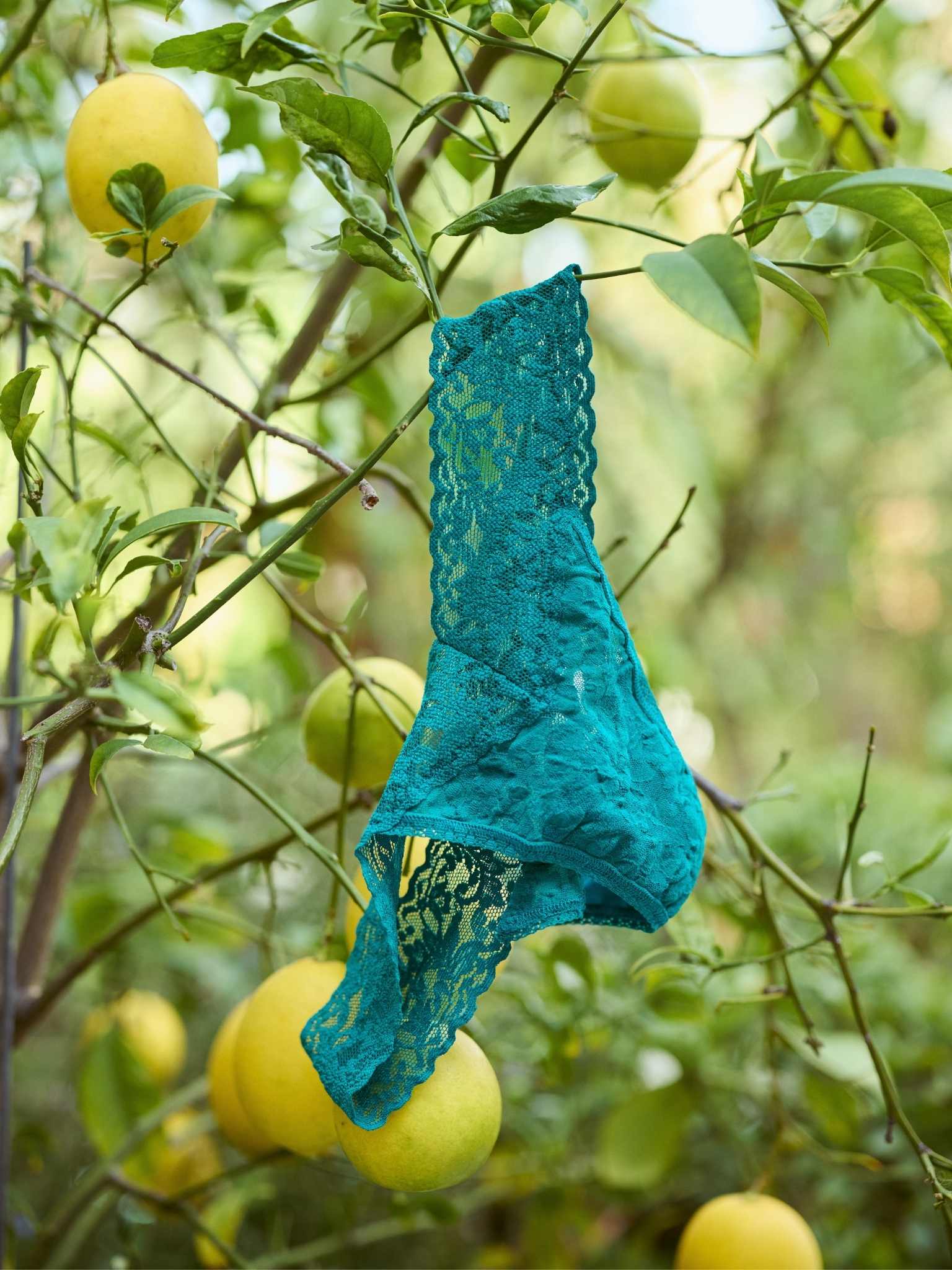 Signature Lace? Original Rise Thong Dark Teal